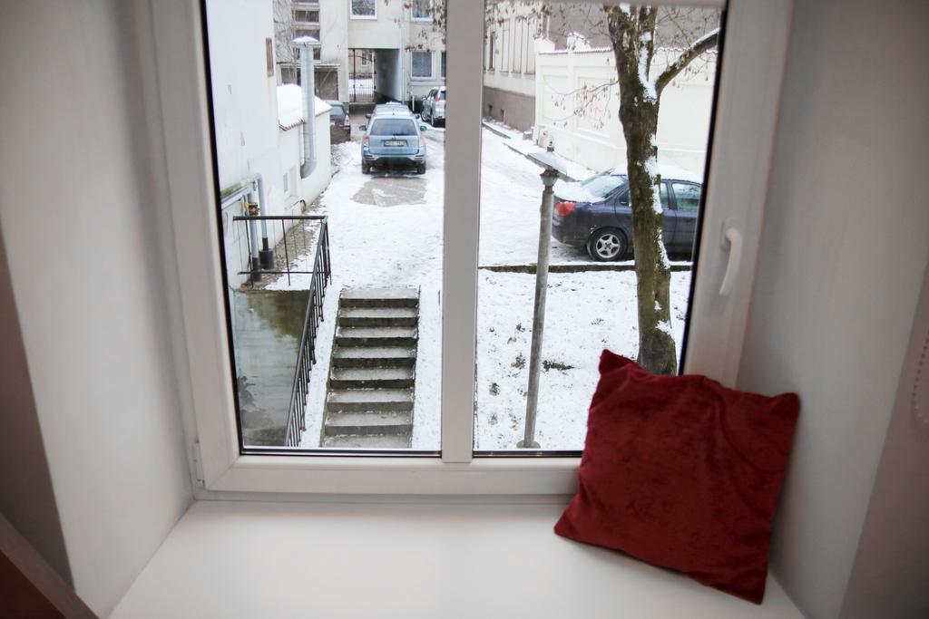 Great Apartment Near Town Hall Vilnius Ngoại thất bức ảnh
